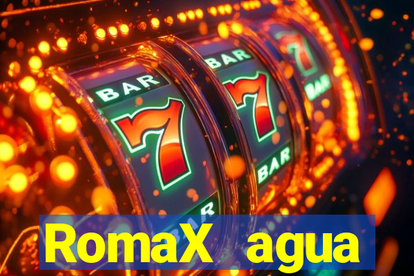 RomaX agua sanitaria fispq agua sanitaria romax